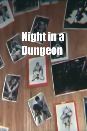 Night in a Dungeon poster