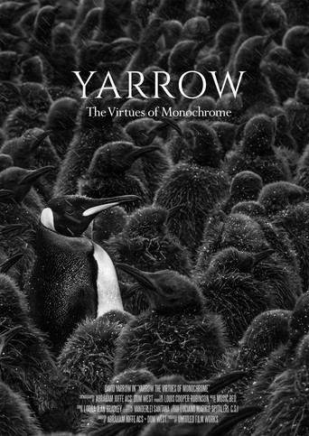 Yarrow: The Virtues of Monochrome poster