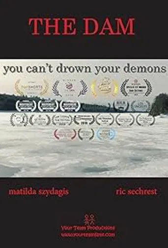 The Dam poster