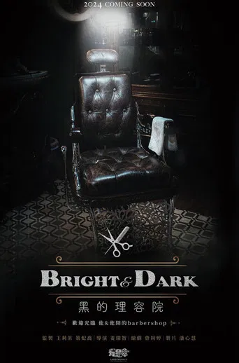 Bright & Dark poster