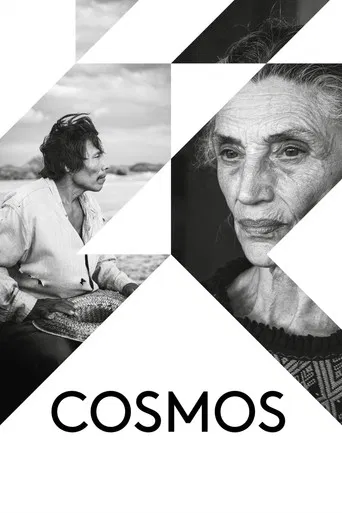 Cosmos poster