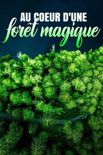 Au cœur d'une forêt magique poster