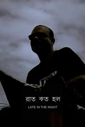 Late in the Night poster