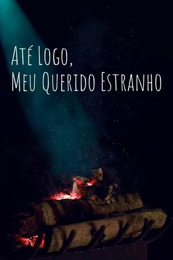 So Long, My Dear Stranger poster