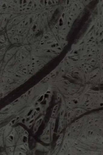 Ecosystem 6 ~ A Sort of Mycelium poster