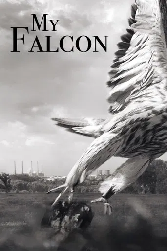 My Falcon poster