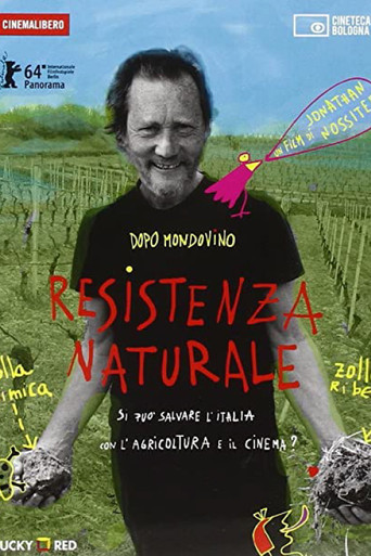 Resistenza alsaziana poster