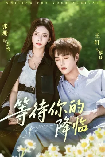 等待你的降临 poster