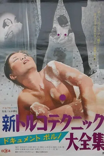 Document porno: Shin Toruko technique dai-zenshû poster