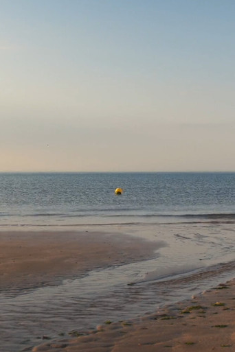 albion, refreshed poster