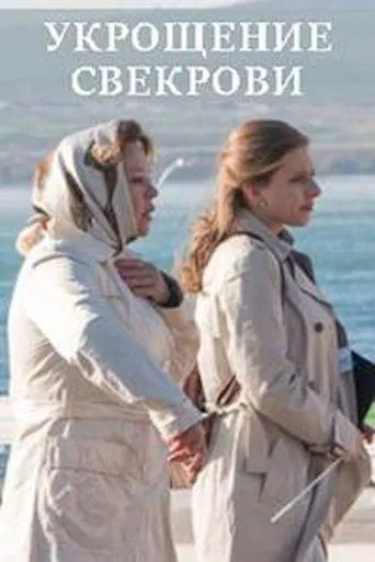 Укрощение свекрови poster