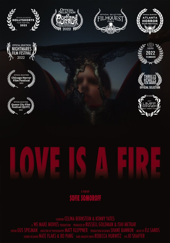 Love is a Fire poster