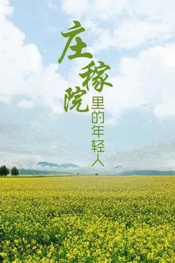 庄稼院里的年轻人 poster