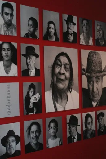 The Last Romani in Auschwitz poster