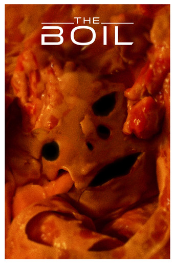 The Boil poster