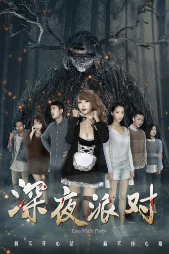 Late Night Party poster