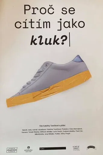 Why Do I Feel like a Boy? poster