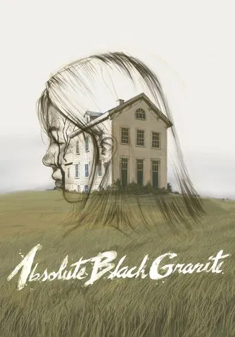 Absolute Black Granite poster
