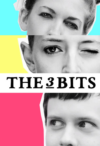The 3 Bits poster