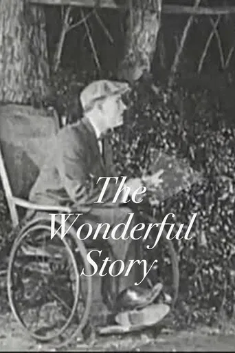 The Wonderful Story poster