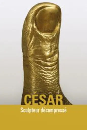 César sculpteur décompressé poster