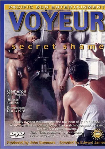 Voyeur: Secret Shame poster