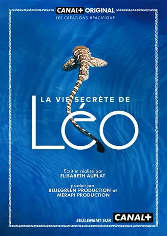 La Vie secrète de Léo poster