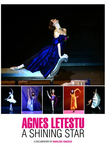 Agnès Letestu: A Shining Star poster