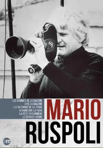 A Look at Madness poster