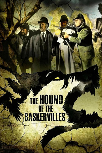 The Hound of the Baskervilles poster