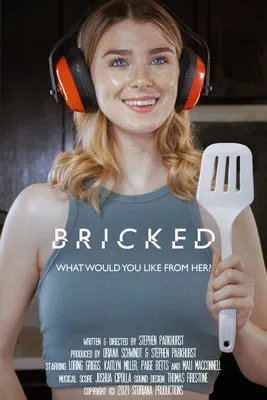 Bricked poster