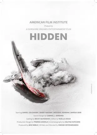 Hidden poster