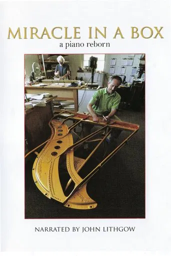 Miracle in a Box: A Piano Reborn poster