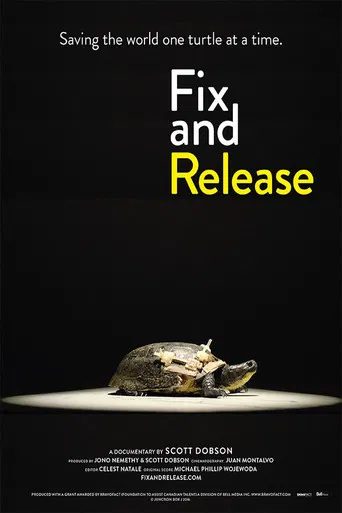 Fix and Release poster