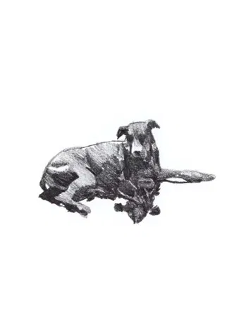 my first skate video poster