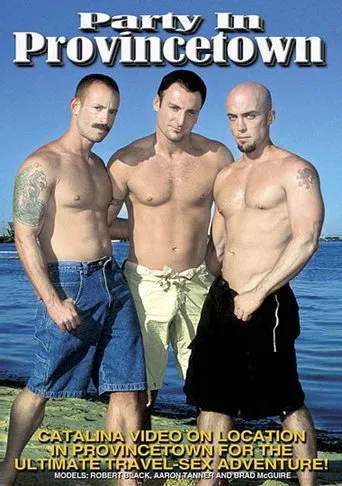 Party in Provincetown poster