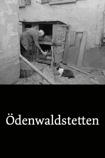 Ödenwaldstetten poster