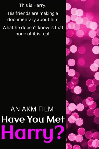 Have You Met Harry? poster