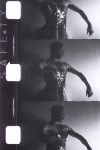 Vloof l'aigrette poster