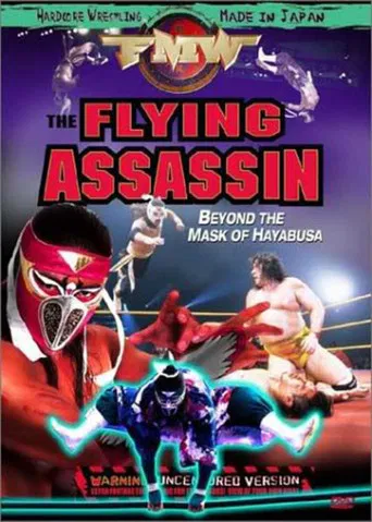 FMW Hayabusa- Flying Assassin poster