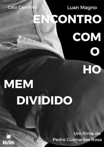 Meeting the Divided Man poster