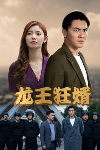 龙王狂婿 poster