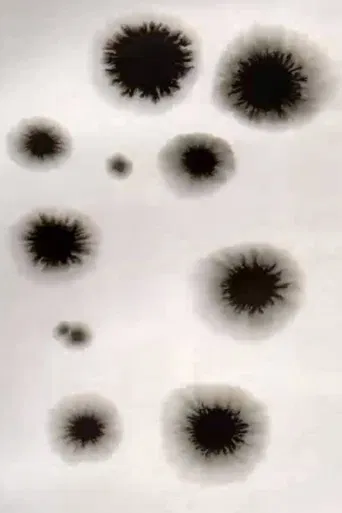 Animation from Poland Residence poster