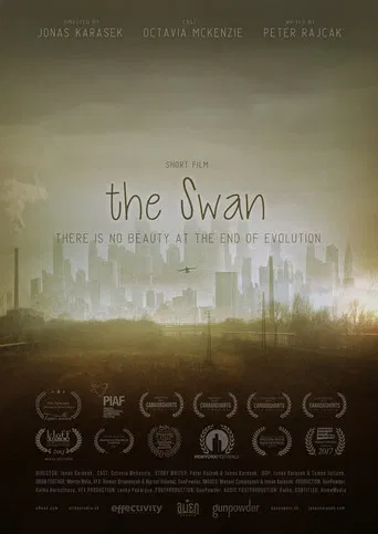 The Swan poster