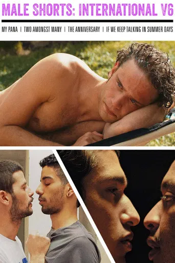 Male Shorts: International V6 poster