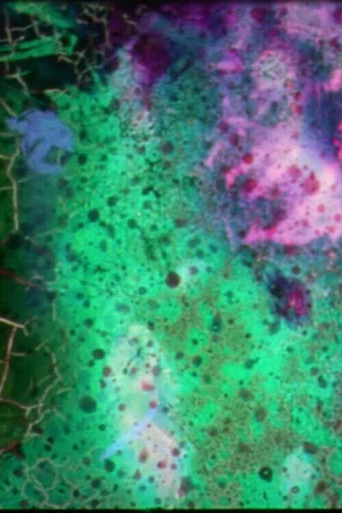 An Optical Printer Duet poster