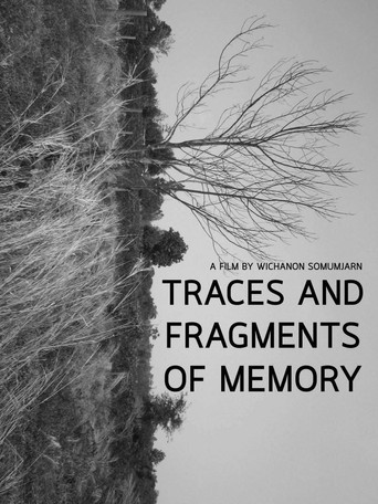 Traces and Fragments of Memory poster