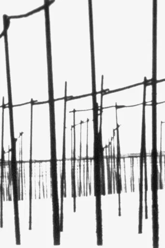 Der weiße Hopfengarten poster