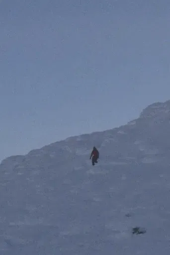 The Observers poster