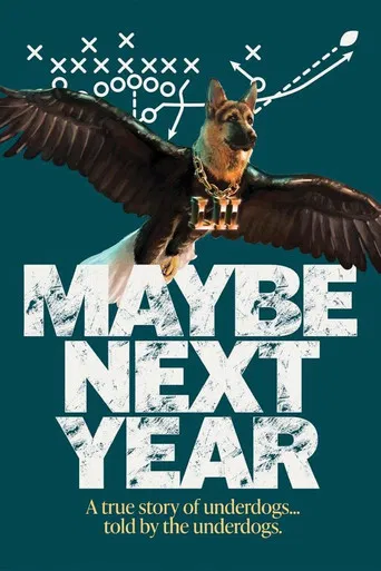 Maybe Next Year poster